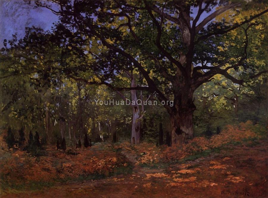 The Bodmer Oak, Fontainebleau - 克劳德·莫奈